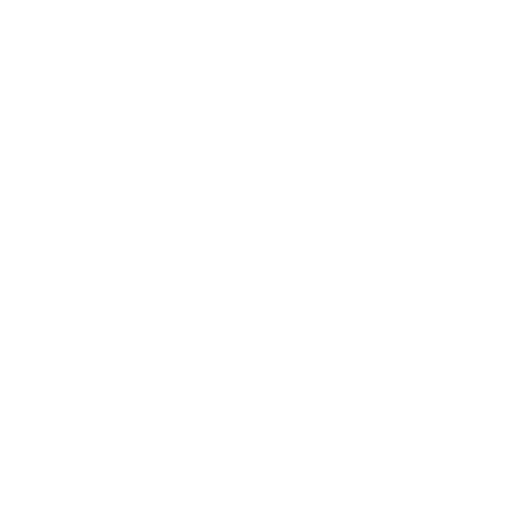 Expert and experienced technology team
